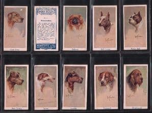 Cigarette cards Leo Chambers Dogs Heads 1924 / Moustafa