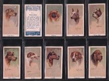 Cigarette cards Leo Chambers Dogs Heads 1924 / Moustafa