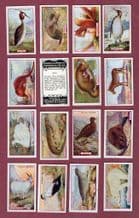 Cigarette cards set Animals & Birds of commercial, 1921