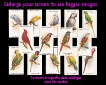 Cigarette cards set Aviary & Cage Birds 1933