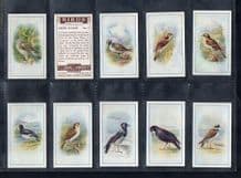 Cigarette cards set Birds 1939, by Carroll & Co.