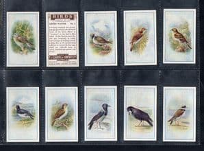 Cigarette cards set  Birds 1939, by  Carroll & Co.