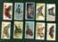Cigarette cards set Butterflies Girls W/ butterfly wings