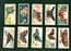 Cigarette cards set Butterflies Girls W/ butterfly wings