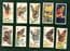 Cigarette cards set Butterflies Girls W/ butterfly wings
