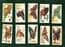 Cigarette cards set Butterflies Girls W/ butterfly wings