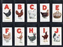 Cigarette cards set Chickens, Poultry Alphabet, 1925 Orpington, Bantam, Fox,