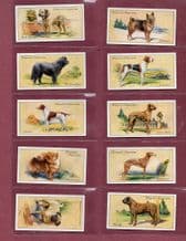 Cigarette cards set Dogs by Hignett, Airedale Beagle Bulldog Chihuahua Greyhound
