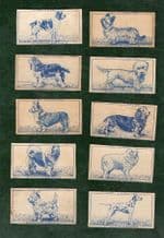 Cigarette cards set, Famous Dog Breeds, 1952 by Carreras