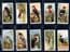 Cigarette cards set Foreign Birds  Penguin,Albatross ,Bald Eagle ,