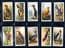 Cigarette cards set Foreign Birds  Penguin,Albatross ,Bald Eagle ,