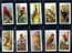 Cigarette cards set Foreign Birds  Penguin,Albatross ,Bald Eagle ,