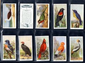 Cigarette cards set Foreign Birds  Penguin,Albatross ,Bald Eagle ,