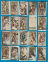 Cigarette cards set of 100 cards Birds Nests & Eggs 1919