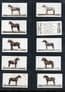 Cigarette cards  Types of Horses 1926 set, Stallion, Pony, Shire,
