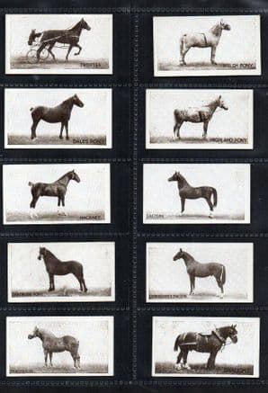 Cigarette cards  Types of Horses 1926 set, Stallion, Pony, Shire,