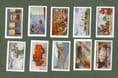 Cigarette cards-Wood