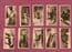 Cigarette cards Zoo Animals, Tigers,Gorilla,Orang-utan,Elephant, Leopard