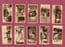 Cigarette cards Zoo Animals, Tigers,Gorilla,Orang-utan,Elephant, Leopard