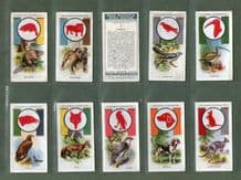 Collctable Cigarette cards Boy Scout & Girl Guide 1933 set