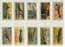 Collctable cigarette cards set War Weapons 1914 Zeppelin dirigables zepellin