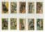 Collctable cigarette cards set War Weapons 1914 Zeppelin dirigables zepellin
