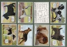 Collectable Cigarette cards Champion Dogs ,Greyhound,Terriers, Retriever, Dalmatian,