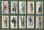 Collectable cigarette cards set Aeroplanes of today 1936