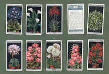 Collectable cigarette cards set Flower Culture in Pots, 1925