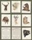 Collectable  cigarette cards Wild Animals Heads 1932, By john Players