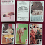Collectable Pin-up  Non-standard playing cards Bridgit's Diet
