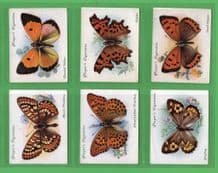 collectable Tobacco cards cigarette cards Butterflies 1934 set