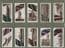 Collectable Tobacco cigarette cards Churchman's Well-Known Ties