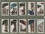 Collectable Tobacco cigarette cards Churchman's Well-Known Ties