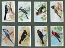 Collectable Trade cards set Useful Birds of America 1924 Church-Dwight