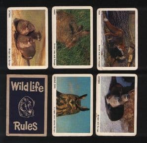 Collectables cards game  Wild-life by Pepys circa 1960's