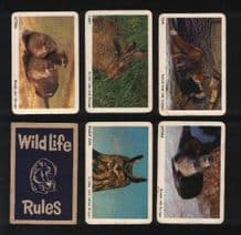 Collectables cards game Wild-life by Pepys circa 1960's