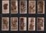 Collectible Cigarette cards Cute animal photo, Zoo animals 1929