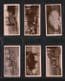 Collectible Cigarette cards Cute animal photo, Zoo animals 1929