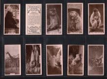 Collectible Cigarette cards Cute animal photo, Zoo animals 1929