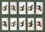 Collectible Cigarette cards set Grand national Winners Horse racing