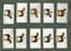 Collectible Cigarette cards set Grand national Winners Horse racing