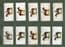 Collectible Cigarette cards set Grand national Winners Horse racing