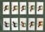 Collectible Cigarette cards set Grand national Winners Horse racing