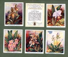 Collectible Cigarette cards set Orchids 1925  large size by Carreras