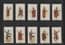 Collectible cigarette cards set tobacco cards Siamese Dancers
