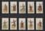 Collectible cigarette cards set tobacco cards Siamese Dancers