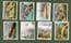 Collectible cigarette cards set Wings over the Empire 1938
