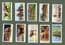 Collectible cigarette cards set Zoo Studies,Polar Bears,Elephants,, Lion,Flamingo