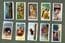 Collectible cigarette cards set Zoo Studies,Polar Bears,Elephants,, Lion,Flamingo